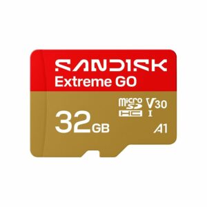 SanDisk Extreme GO 32GB microSDHC UHS-I Card