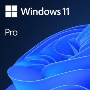Microsoft Windows 11 Pro 64-bit &ndash; OEM System Builder (DVD)